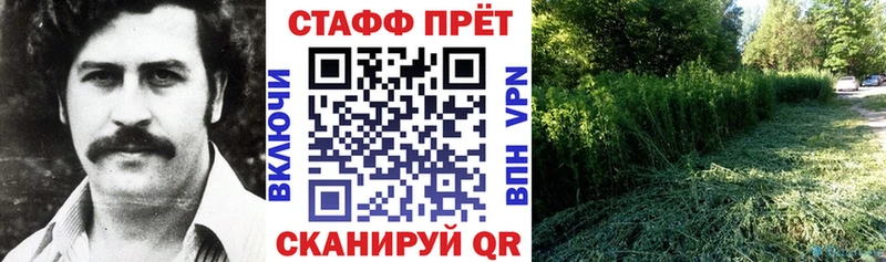 Наркотические вещества Курлово Каннабис СОЛЬ АМФ ГАШИШ