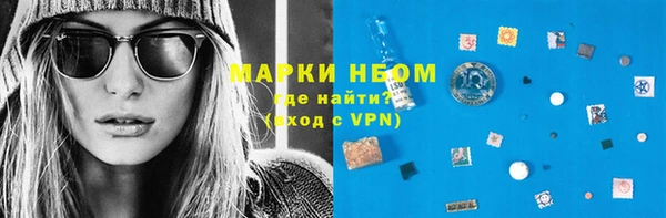 прущий лед Алзамай