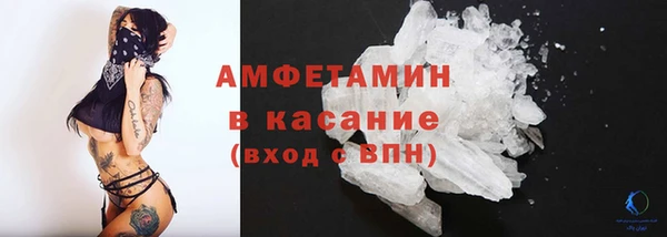 сатива Дмитриев