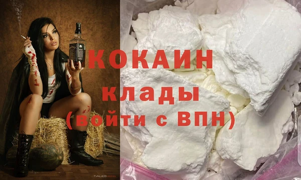 прущий лед Алзамай