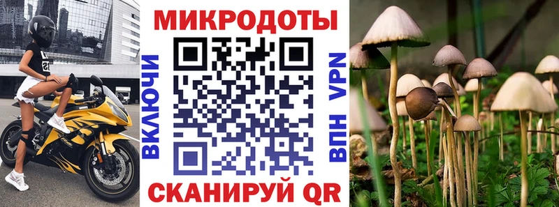 где продают наркотики  Курлово  Псилоцибиновые грибы Cubensis 